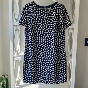 J Crew Polka Dot Shift Navy and White Classic Short Sleeve Shift Dress Size 8